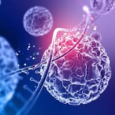 Oncology
